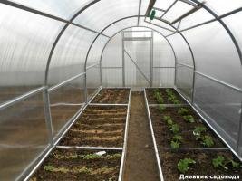 Doing warm beds in the greenhouse. A simple way to budget and