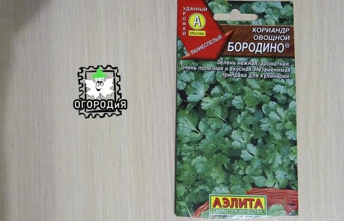 Bag of coriander seeds vegetable Borodino
