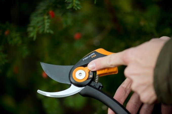 Secateurs should be in the arsenal of every gardener! ( https://static.my-shop.ru/product/f3/208/2075515.jpg)