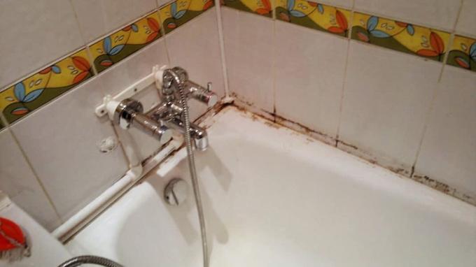 Mold in the bathroom as an attribute of many apartments | ZikZak 