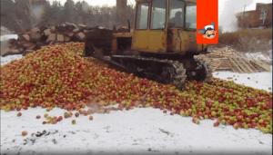 Why sanctions products crushed by bulldozers, and do not give the needy?