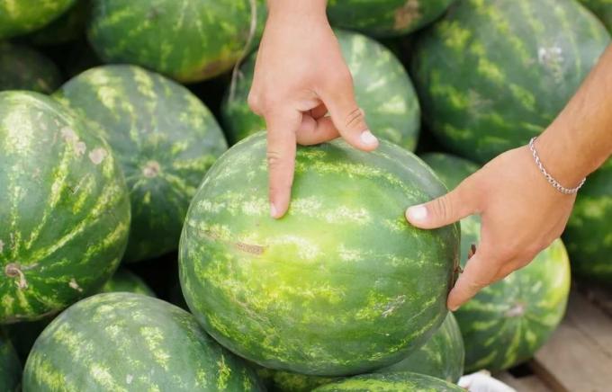 5 important tips for choosing watermelon | ZikZak