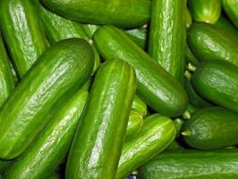 8 finest early-maturing hybrids of cucumber on responses of Internet users. Choosing for 2019