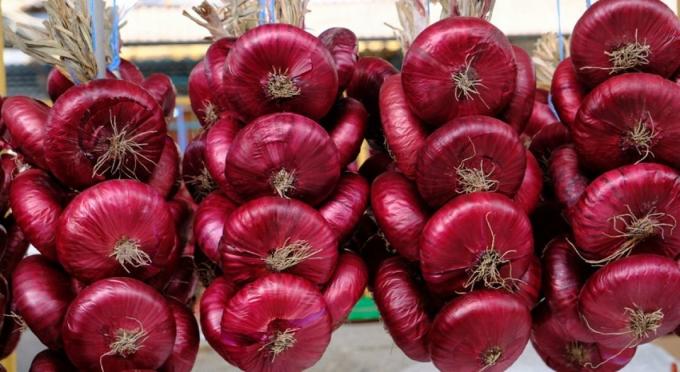 Corporate views of the Yalta onions. Photo taken from the Internet