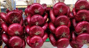 Is it possible to grow the legendary Yalta onion in other regions except Crimea?