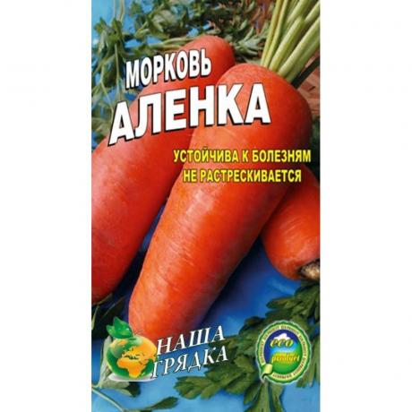 varieties of carrots "Alenka"