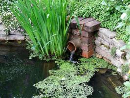 Drains water from the plot: a drain, livnevki drainage