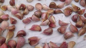 Treat advance garlic cloves before planting, to ensure a rich and healthy crop.