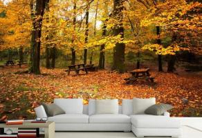 5 amazingly beautiful solutions to decorate the walls of your home or wallpaper with autumn motif that will make you fall in love