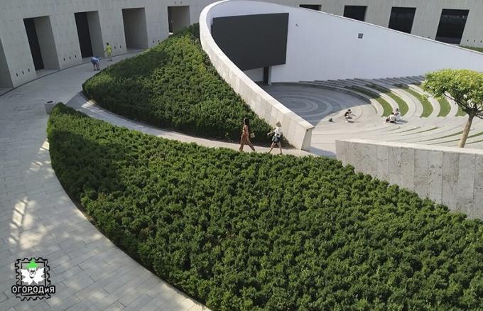 Summer amphitheater framed by bush