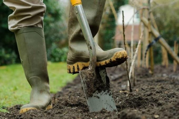 Digging too deeply harmful to the soil