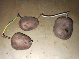 Electricity from potatoes - conduct a simple experiment