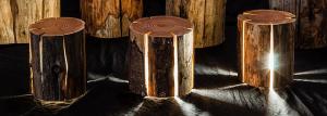 How to make a garden lighting from the stump