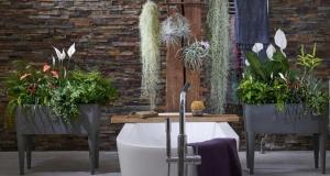 The plants in the bathroom contribute to the blissful atmosphere. 6 variants of "live" decor