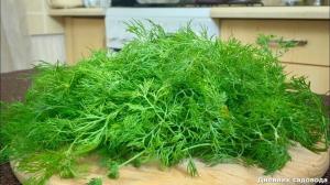 Why have I never throw away the stems of dill
