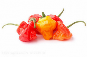 Burning and bell peppers from around the world - an unusual varieties