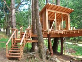 Do you want to please a child? Building a tree house!