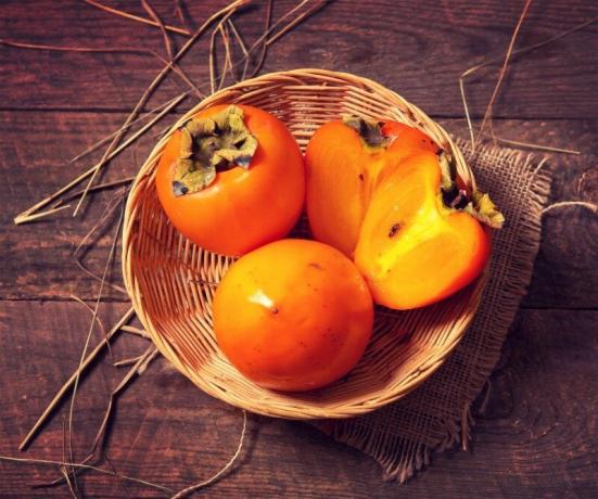 Who should not eat a persimmon? | ZikZak