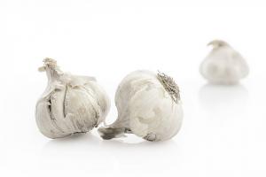 Planting garlic cloves before winter. Step-by-step instruction