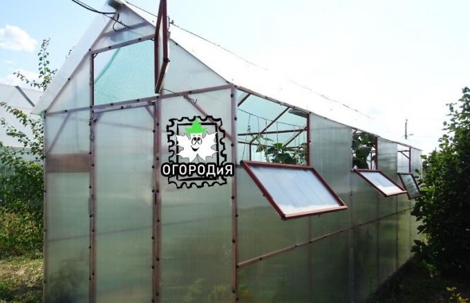 Many panes in a greenhouse, and one door