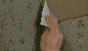Of these methods, removing old wallpaper, you may not have heard of. 4 proven reception