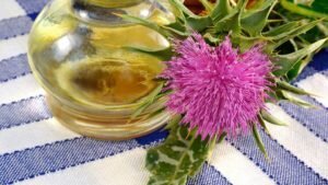 Thistle oil: useful properties and contraindications, instructions for use