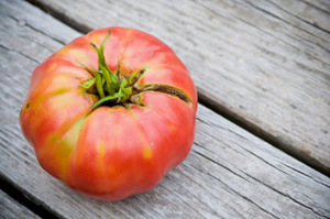 Grow delicious and good tomatoes on beds