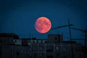 "Bloody" moon. How does a lunar eclipse on human health?