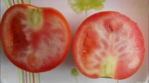 Why grow tomatoes with white veins, and what to do