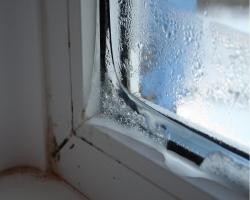 Plastic windows "cry" why condensation on the window frames and what to do