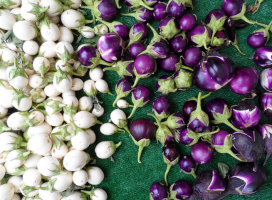 5 unusual varieties of eggplant, which will surprise you!