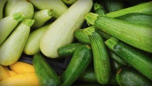 What is the difference from the zucchini squash.