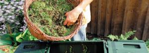 Six rules of good compost