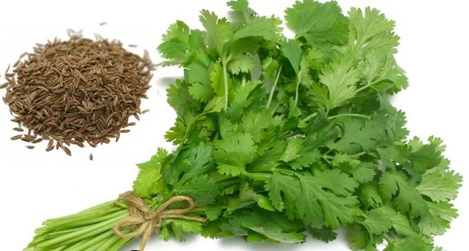 Parsley and its seeds
