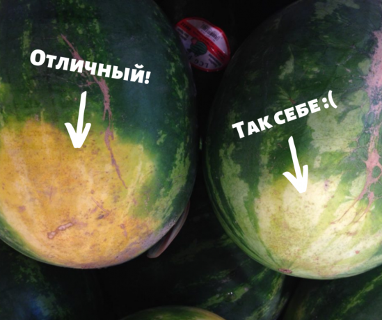 Earthy spot on watermelon speaks of maturity | ZikZak