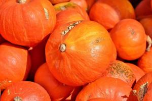 5 interesting facts about pumpkin