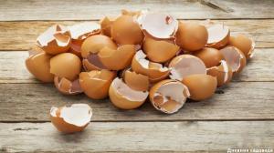 Eggshell: 3 useful applications in the autumn garden