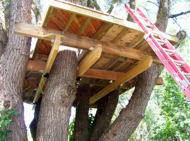 The construction of the tree house starts with a support assembly