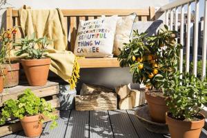 How to decorate a small balcony, plants and flowers. 9 useful solutions.