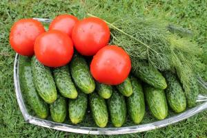 Soda for tomatoes and cucumbers. universal dressing