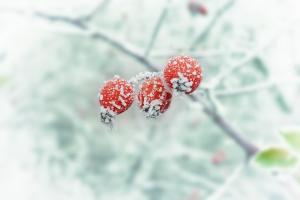 What is the danger in the winter thaws?
