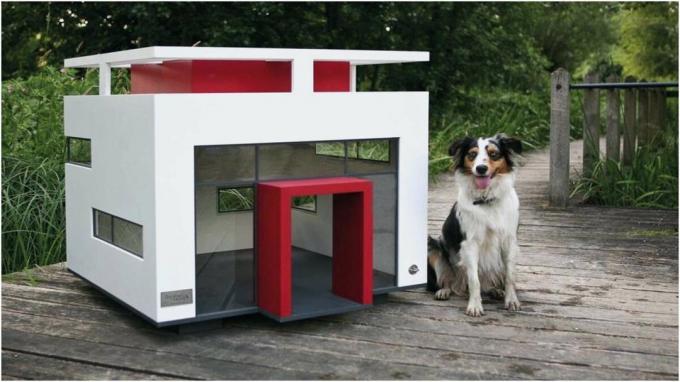 Booths for dogs in high-tech style