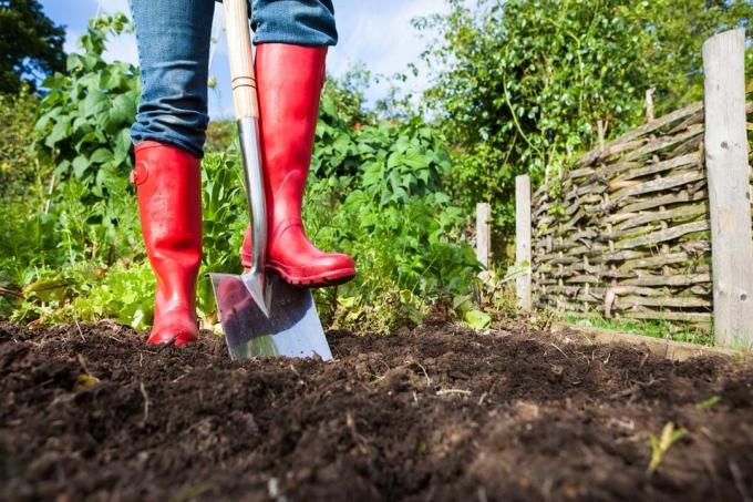 Remove crop residues during digging the garden | Garden Garden