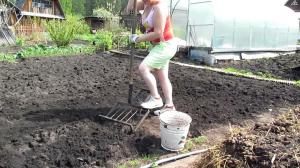 Give a neighbor a shovel: the digging playfully and not get tired