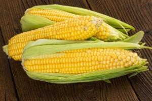 Benefits and harms of corn