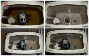 Otmoet whether citric acid dirty toilet tank. My story