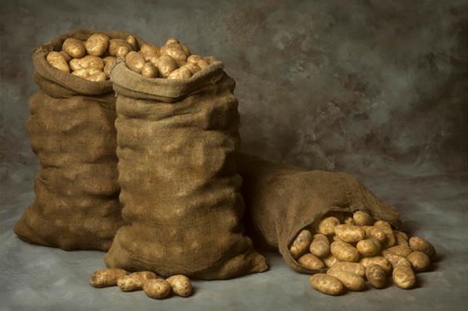 Storing potatoes in the winter in the bags - great, but not the only way!