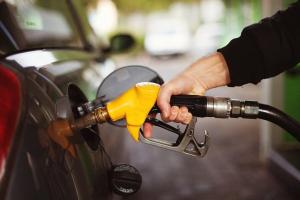 What is the cost of gasoline without taxes?