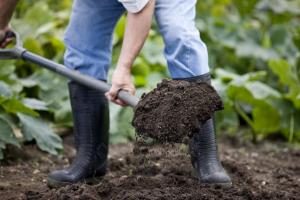 What is necessary to make fertilizer in the fall and how to