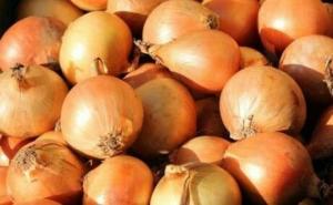 The fertilized onions (full crib)